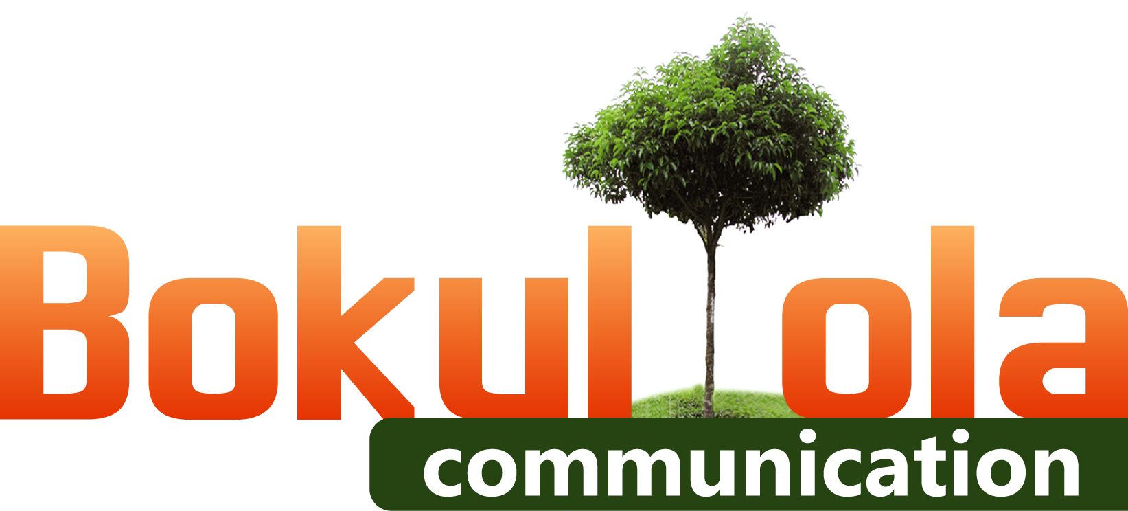 Bokultola Communication